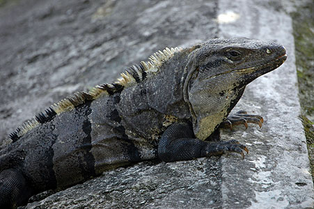 Monday, November 1, 2010 Cancun 024.JPG